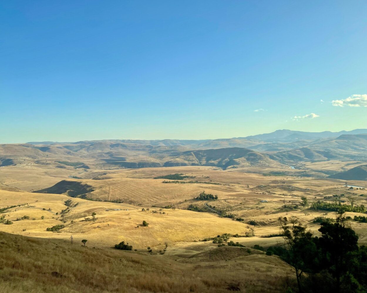 Kapstadt, Safari "Südafrikas Wildparks" & All Inclusive Sansibar Hintergrundbild Kapstadt, Safari "Südafrikas Wildparks" & All Inclusive Sansibar Hintergrundbild