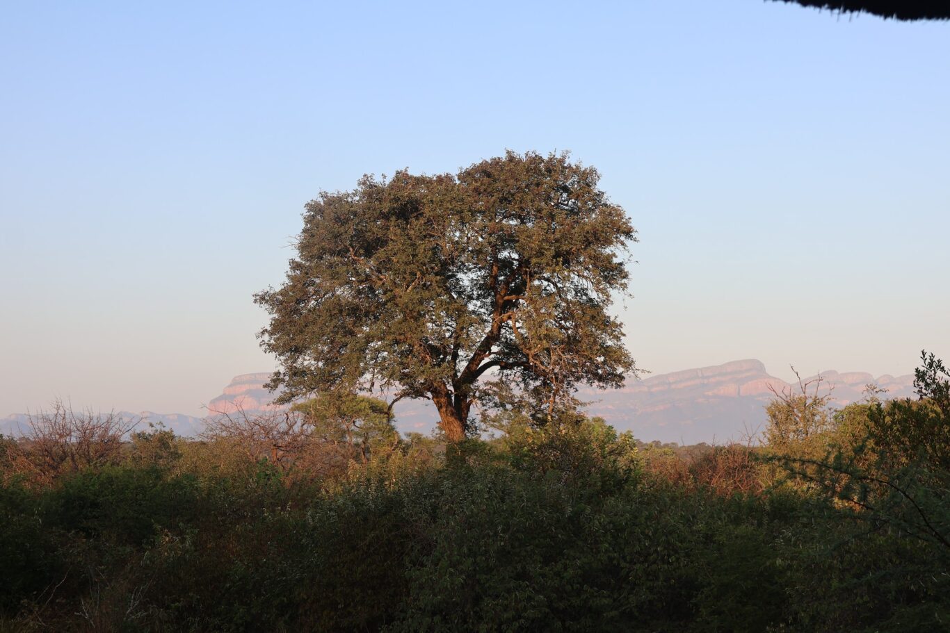 Hoedspruit Hoedspruit