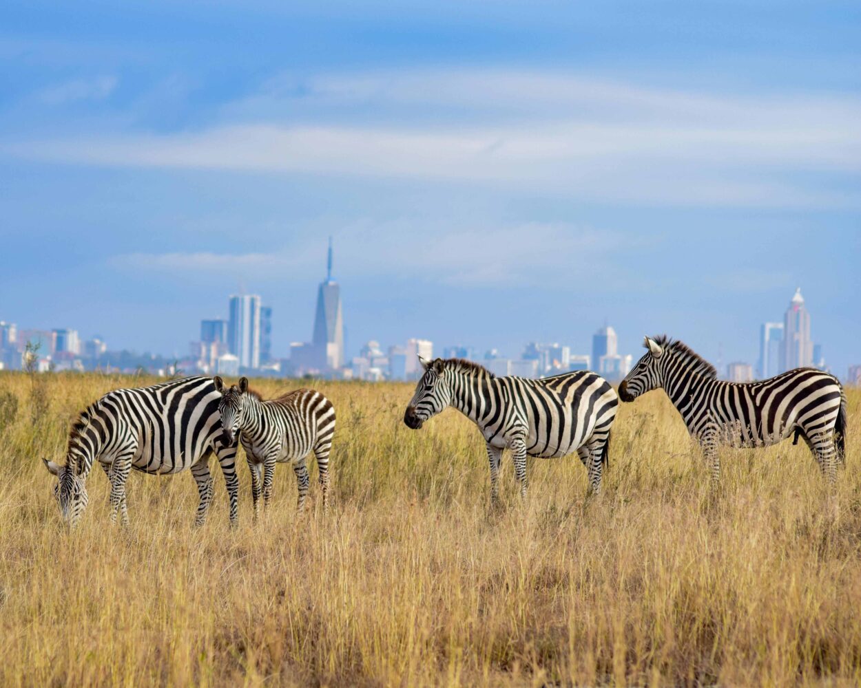 Nairobi inkl. Kurz-Safari & Baden Malindi Beach Hintergrundbild