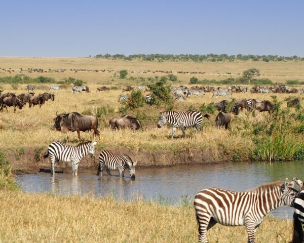 Nairobi, Safari "Masai Mara" & Südafrika mit Johannesburg