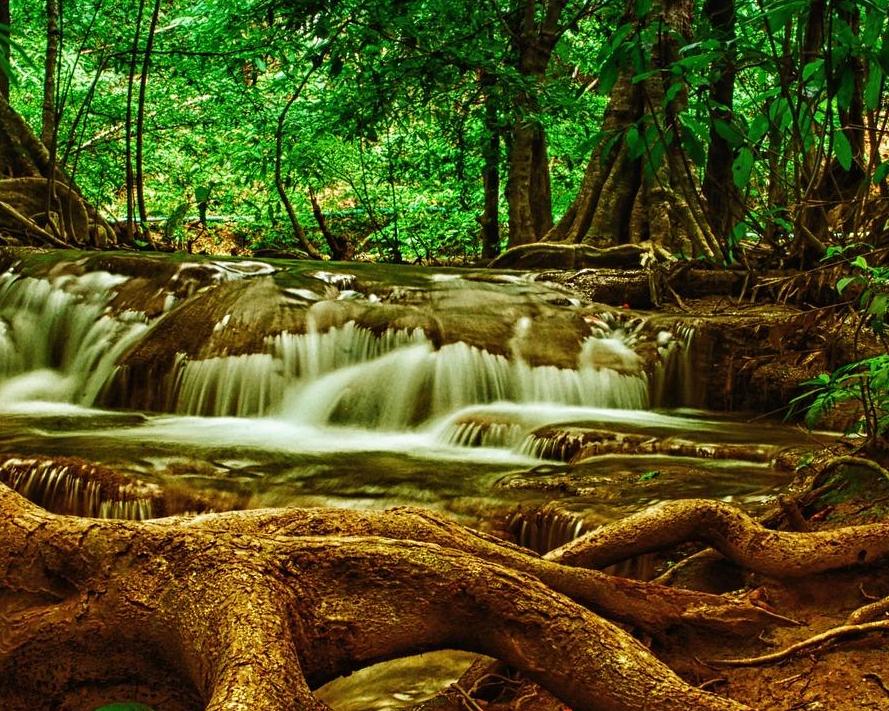 Natur & Kultur mit Baden in Phuket Hintergrundbild