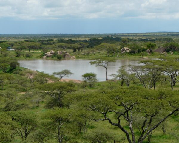 Preiswert durch Tansania! Von der Serengeti bis Sansibar