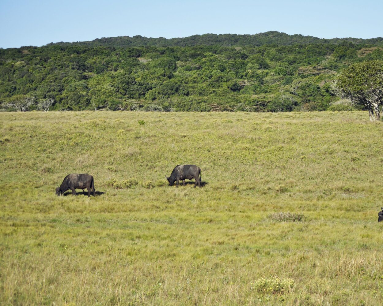 iSimangaliso Feuchtgebiet Park