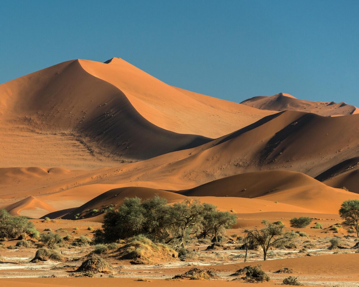 Safari "3 Tage Sossusvlei" Hintergrundbild