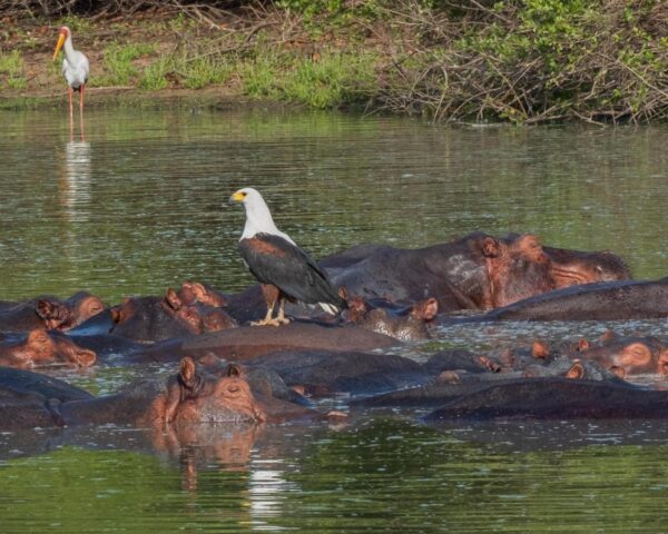 Sansibar (mit Ausflügen) & Safari im Naturschutzgebiet