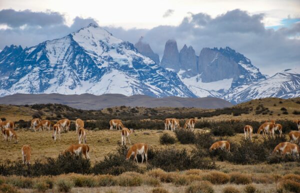 Privatrundreise "Chile - Land der Extreme"
