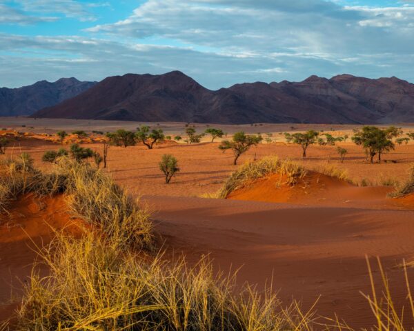 Reiseangebote Khomas (Region), Namibia