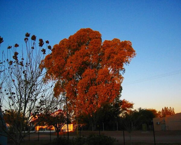 Reiseangebote Mariental