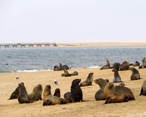 Swakopmund