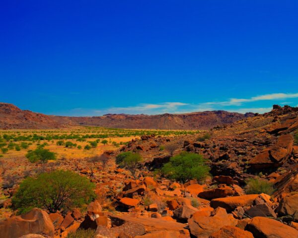 Reiseangebote Twyfelfontein