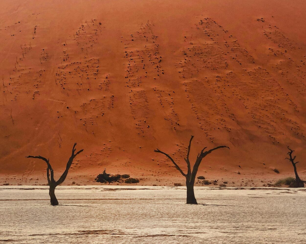 Fly & Drive Namibia: Endlose Weiten mit einem SUV erkunden Hintergrundbild