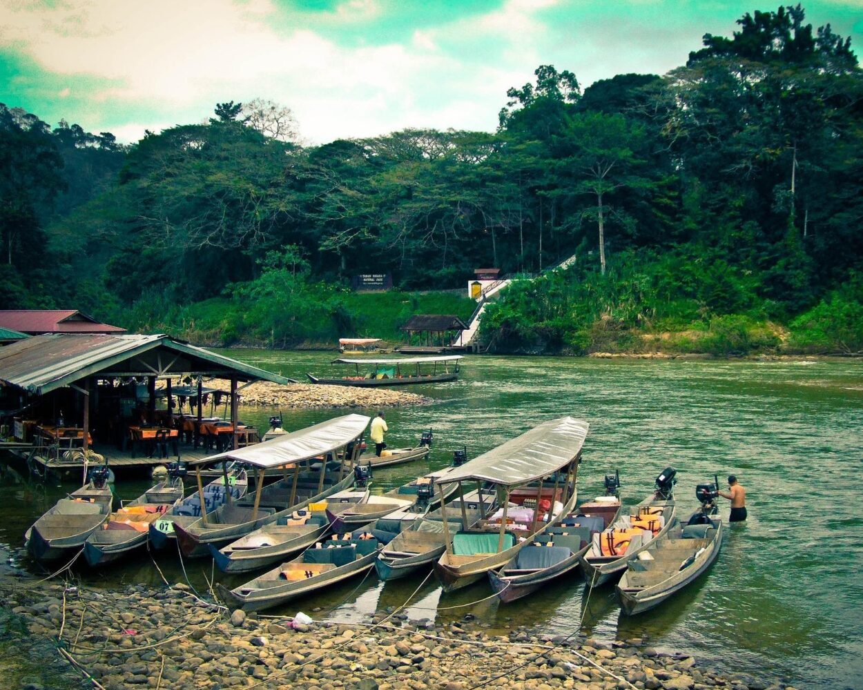 Kurztour "Taman Negara Jungle Experience" Hintergrundbild