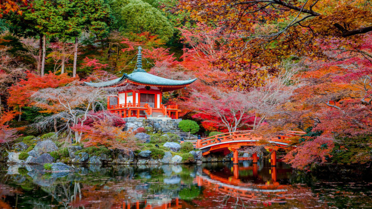 Rundreise "Tokio und Kyoto Kombination" Hintergrundbild