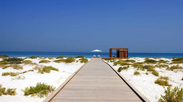 Die Insel Al Saadiyat