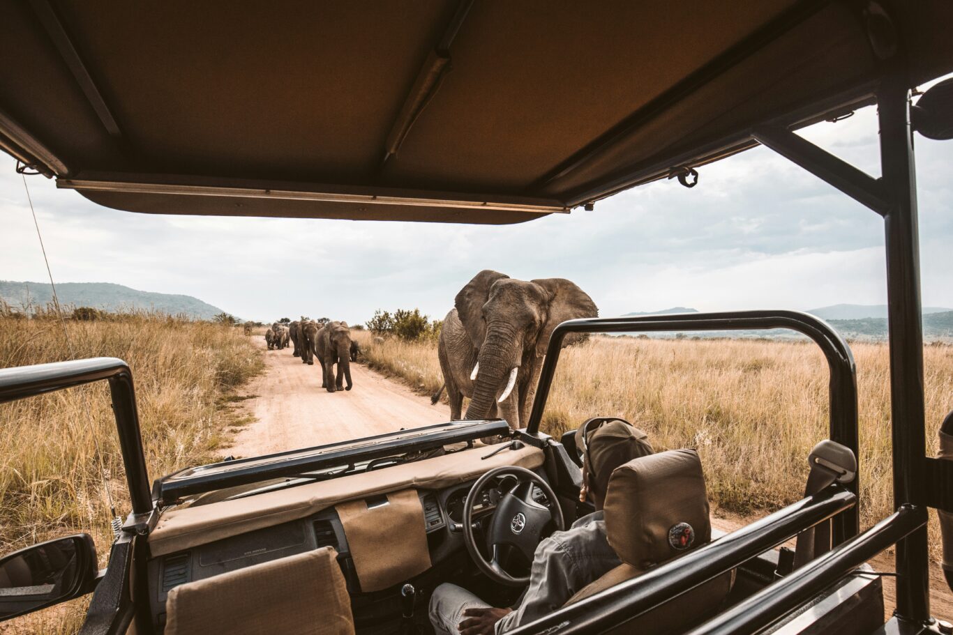 Dar es Salaam, Safari "Ruaha Nationalpark" & Mafia Island Hintergrundbild