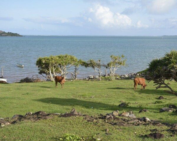 Reiseangebote Insel Rodrigues
