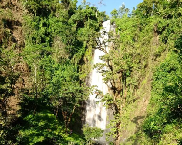 Safari "Materuni Wasserfall, Kilimandscharo und Ngorongoro Krater" (ab/bis Sansibar)