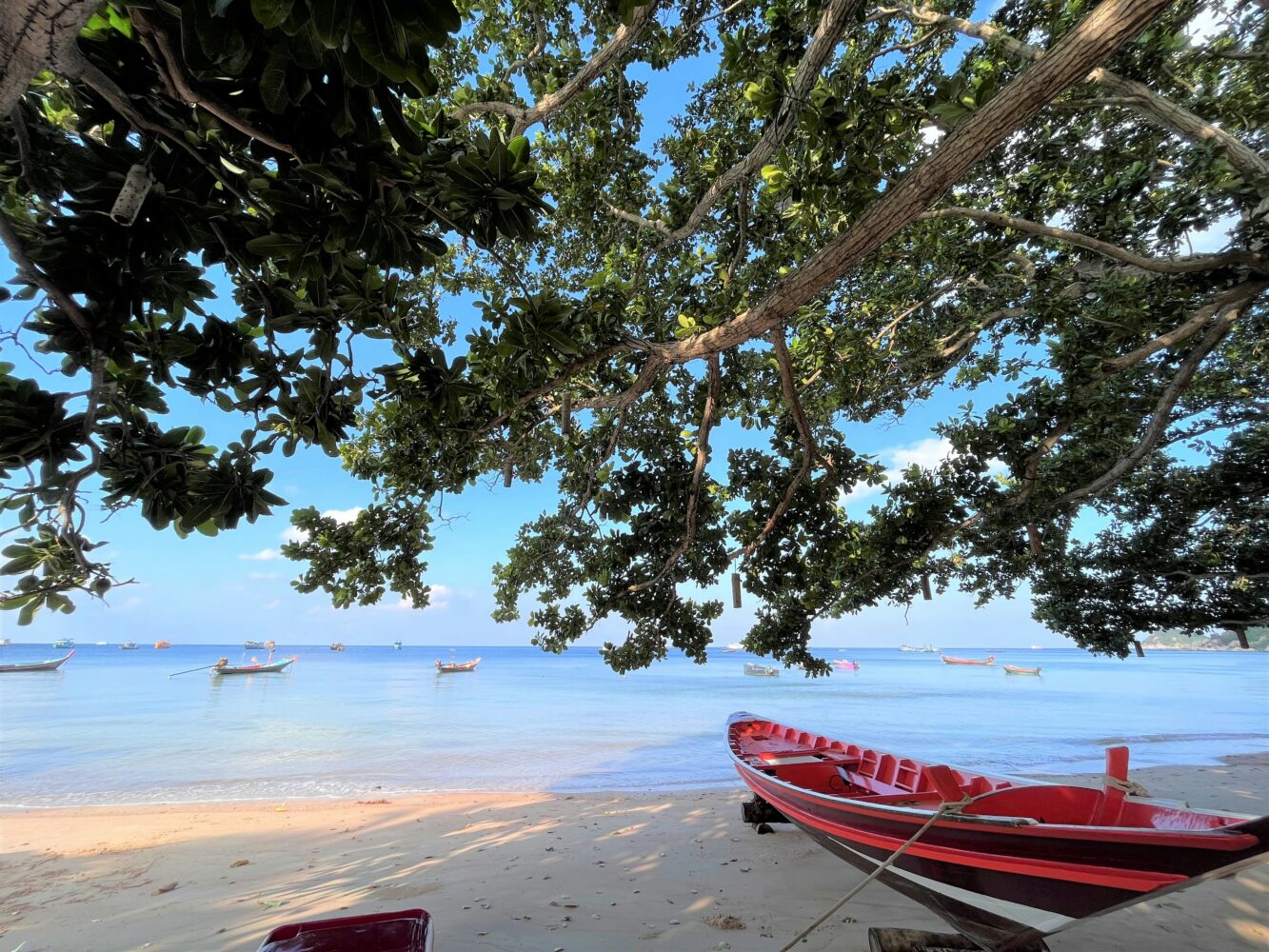 Koh Tao