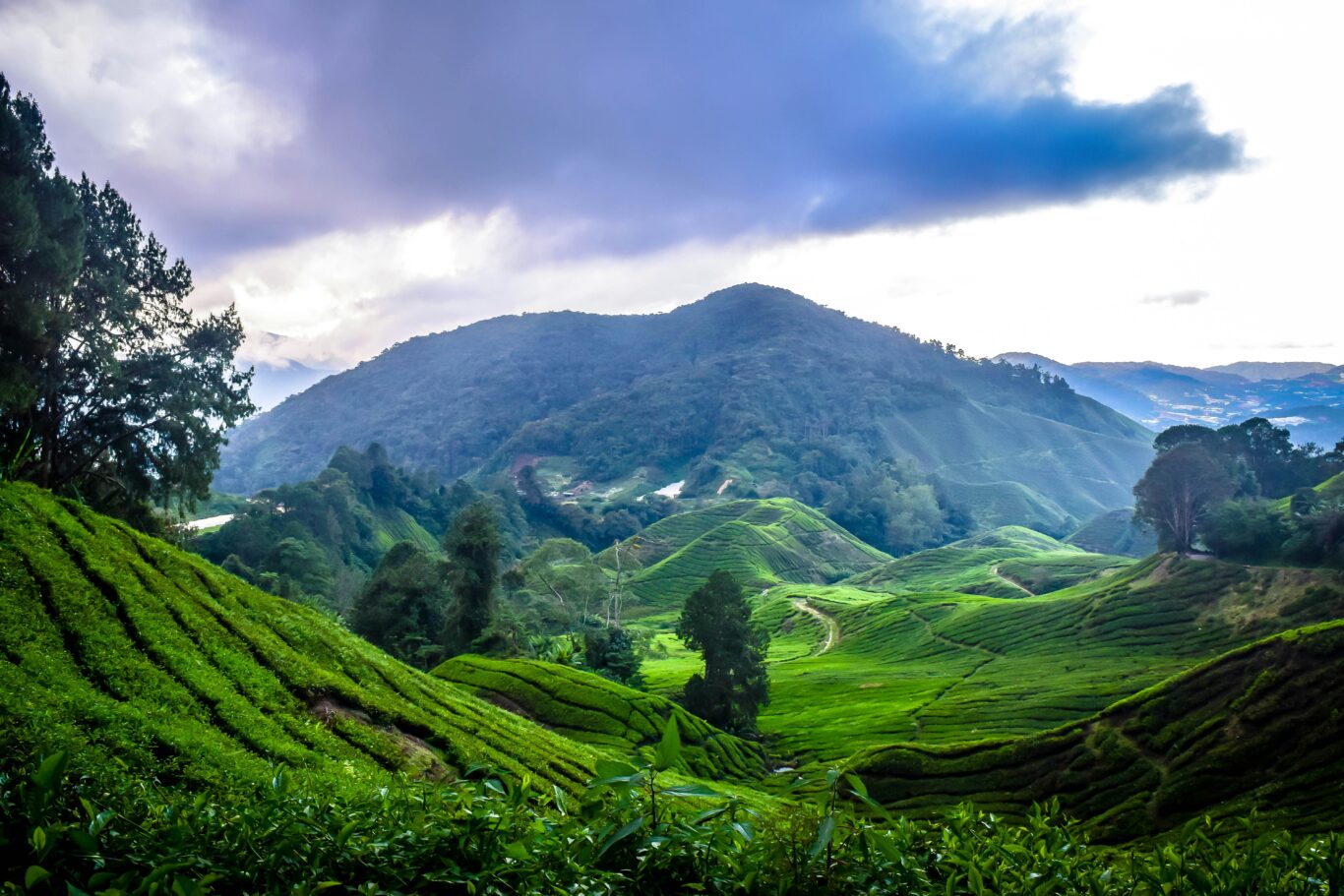 Kuala Lumpur, Cameron Highlands, Penang & Baden Phuket Hintergrundbild