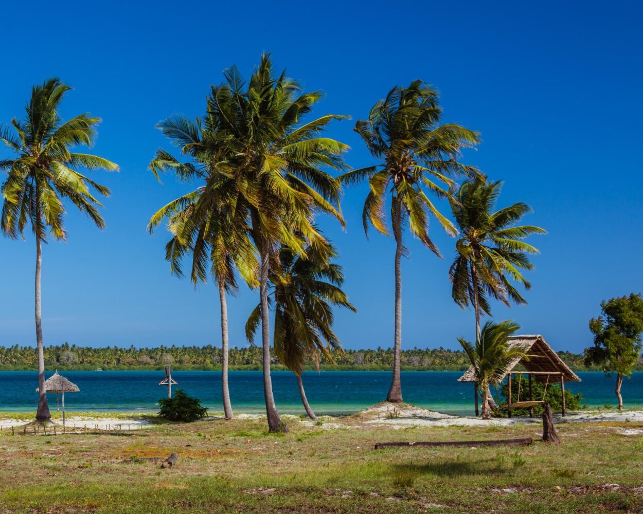 Tansania mal anders: Dar es Salaam und Mafia Island Hintergrundbild