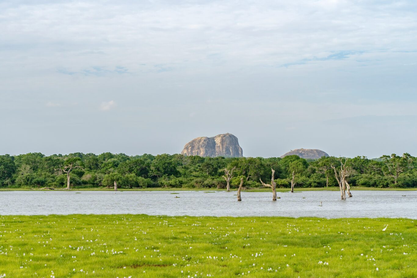 Yala National Park