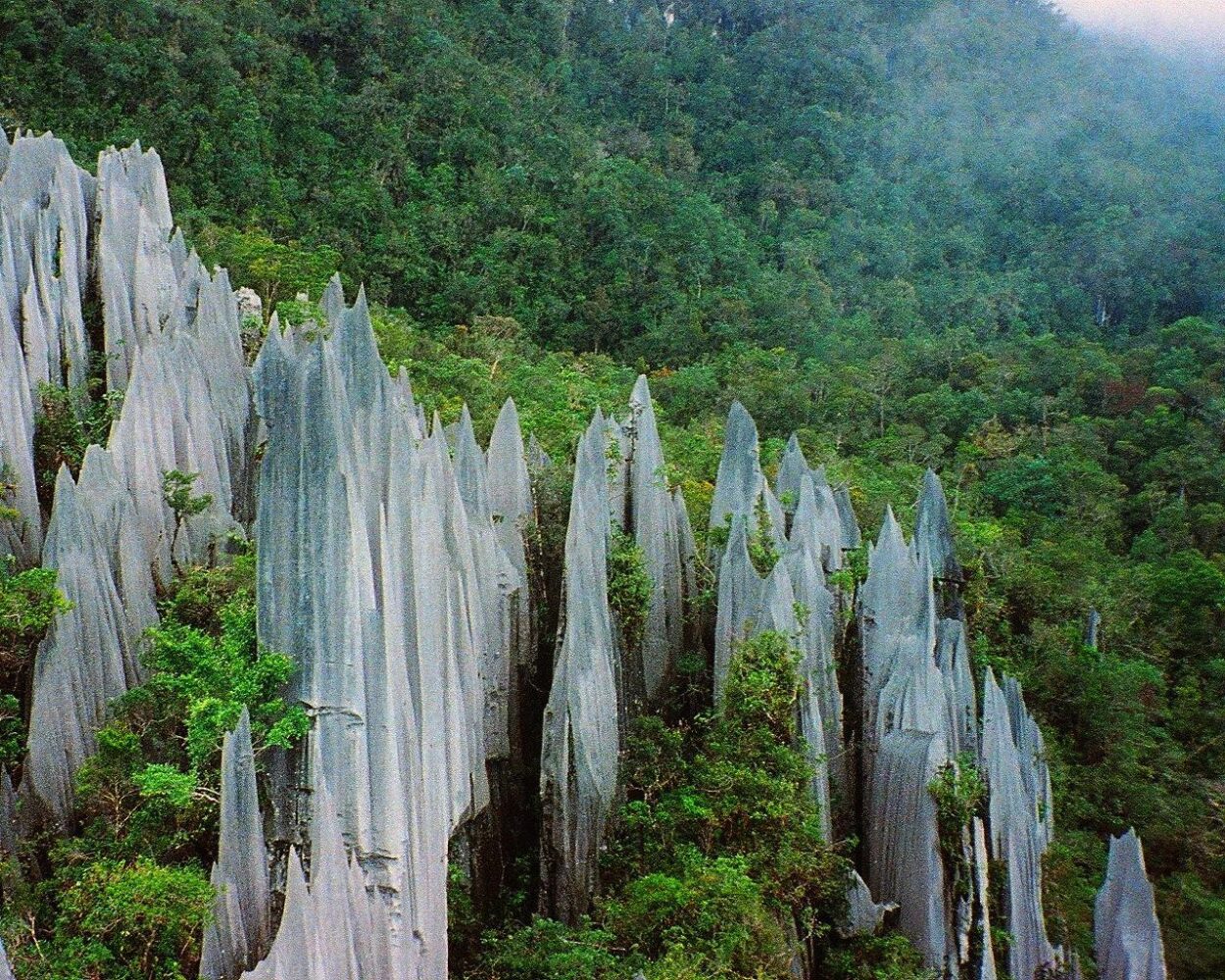 Kurztour "Mulu Nationalpark" Hintergrundbild