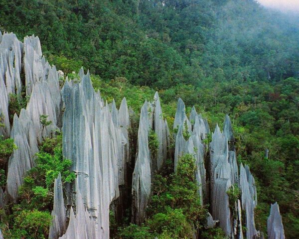 Kurztour "Mulu Nationalpark"