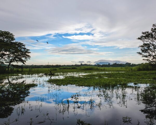 Reiseangebote Habarana