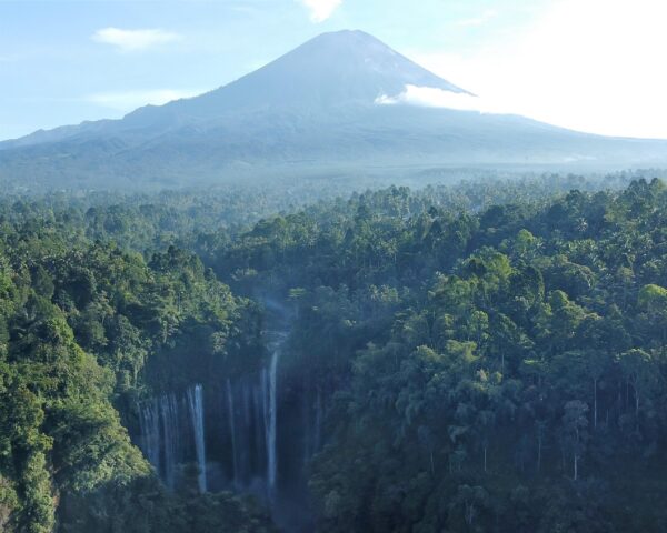Singapur, Private Kurztour "Ost-Javas Naturhighlights" & Baden auf Bali