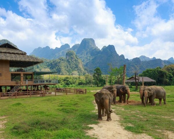 Single Special - Bangkok "Elephant Hills Jungle & Floating Camp" mit Erholung in Khao Lak