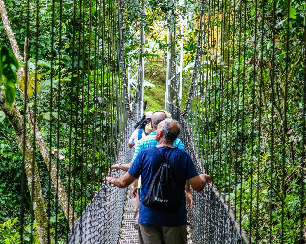 Individuelle Rundreise "Pura Vida Costa Rica" Hintergrundbild