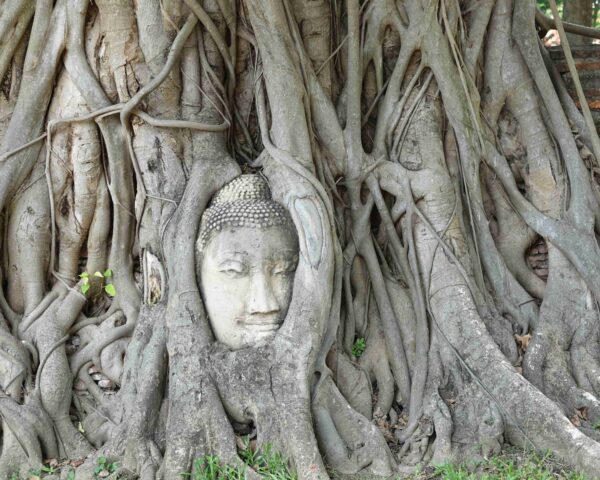 Pulsierendes Bangkok, Ayutthaya & Baden auf Koh Phayam