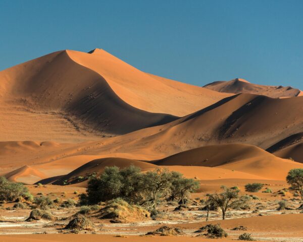 Kapstadt, Swakopmund, Sossusvlei Safari & Windhoek