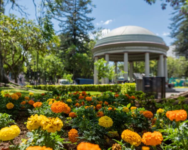 Reiseangebote San José