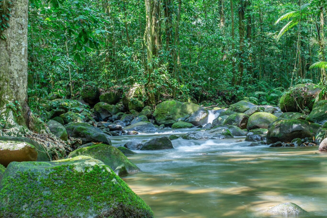 Rincon de la Vieja Rincon de la Vieja