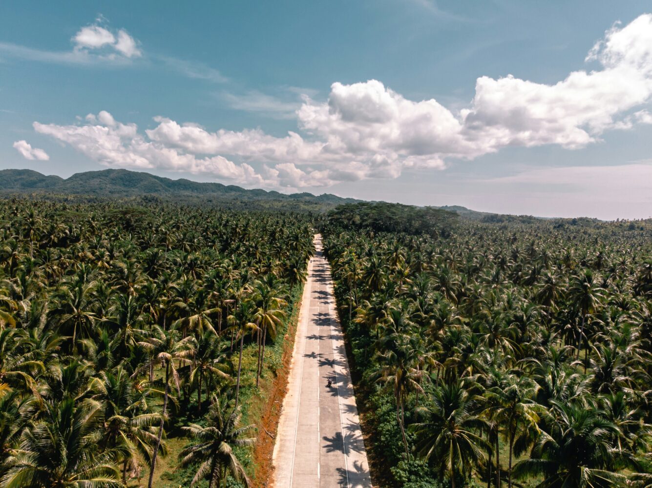 Philippinische Inselwelt: Cebu, Bohol & Siargao Hintergrundbild Philippinische Inselwelt: Cebu, Bohol & Siargao Hintergrundbild