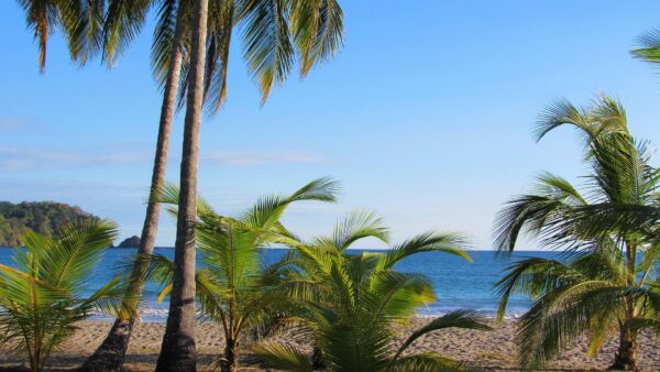 Puerto Viejo De Talamanca