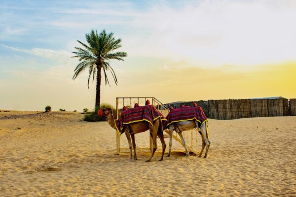 Bild für das Angebot: Muscat mit Wüstensafari, Mumbai inkl. City Tour & Baden in Goa