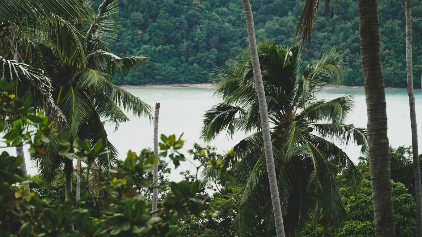 Bangkok und Inselhopping Krabi, Phi Phi Island & Phuket Hintergrundbild Bangkok und Inselhopping Krabi, Phi Phi Island & Phuket Hintergrundbild