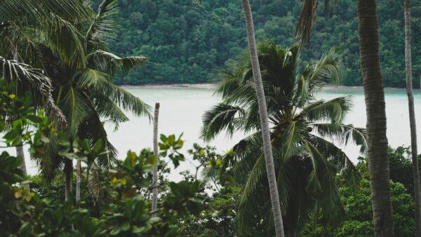 Bild für das Angebot: Bangkok und Inselhopping Krabi, Phi Phi Island & Phuket