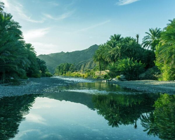 Bild für das Angebot: Muscat, private Kurztour "Vom Schildkrötenstrand ins Wüstencamp" & Erholung