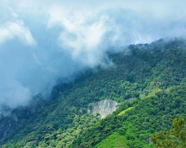 Tempel und Natur in Kandy & Baden in Kalutara