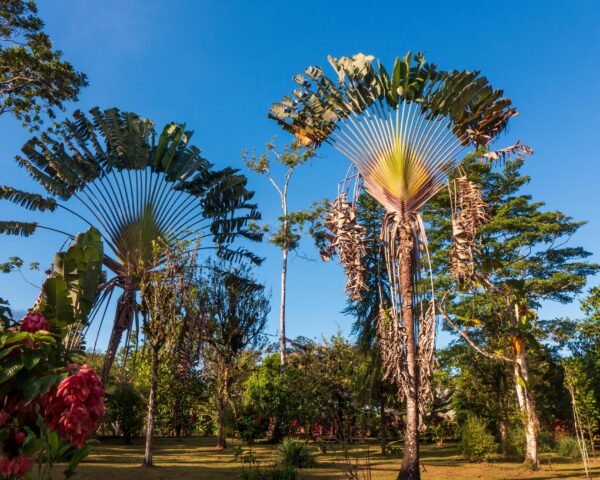 Reiseangebote Boca Tapada