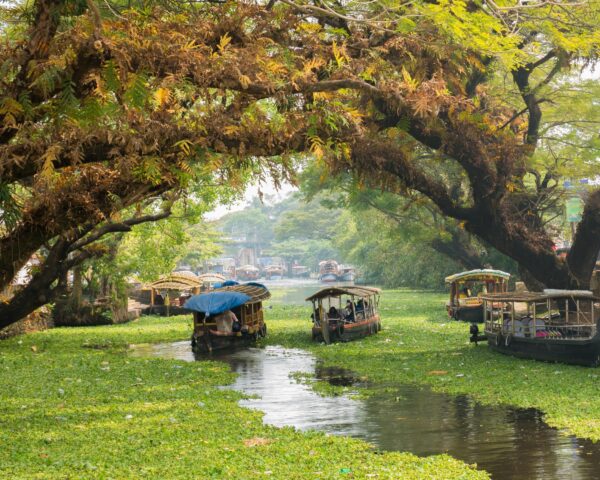(1.) Foto-Impressionen zu: Reiseangebote Alleppey