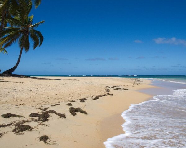 (3.) Foto-Impressionen zu: Reiseangebote Las Terrenas