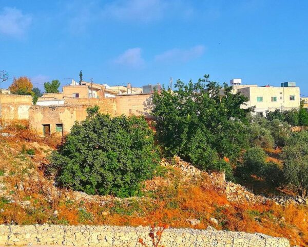 (1.) Foto-Impressionen zu: Reiseangebote Irbid