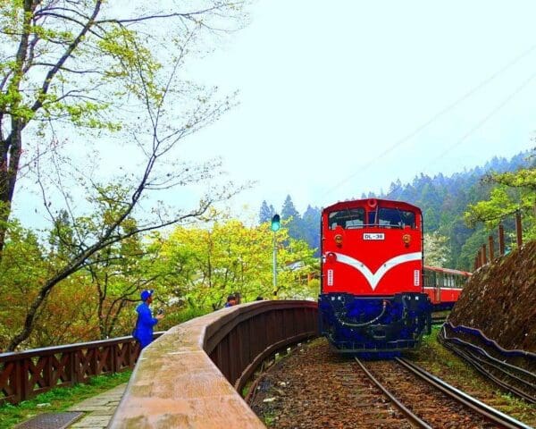 (2.) Foto-Impressionen zu: Reiseangebote Alishan