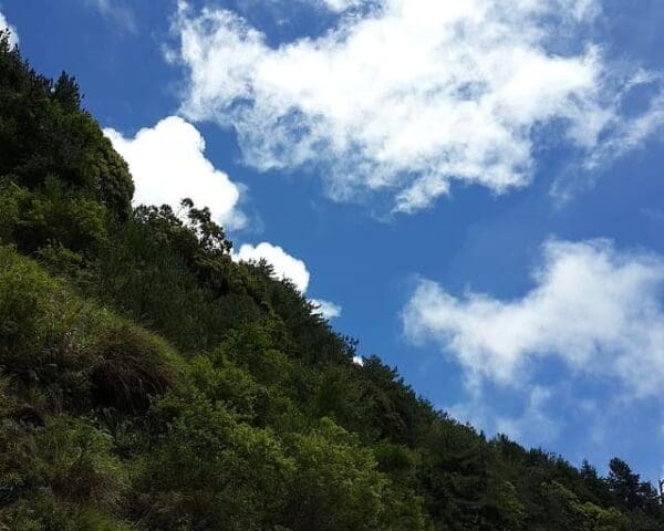 (1.) Foto-Impressionen zu: Reiseangebote Alishan