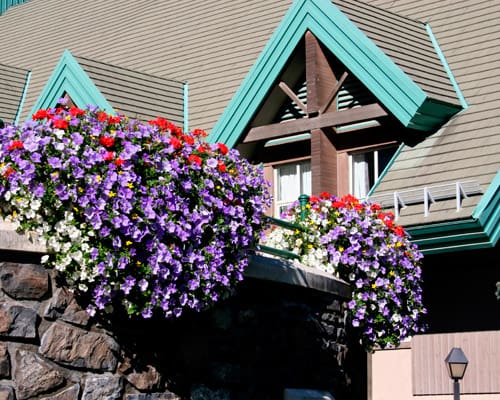 Reiseangebote Banff