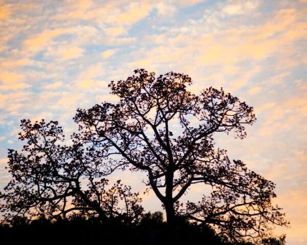 (3.) Foto-Impressionen zu: Reiseangebote Huay Xai
